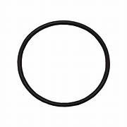 Pentair O-Ring WFE Cover (PUR-101-1061) (350013Z)