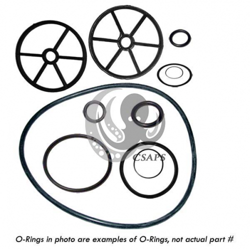O-Ring 6" Carvin (47035803R)