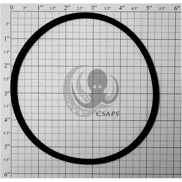 O-Ring 5-1/2" (6020026)