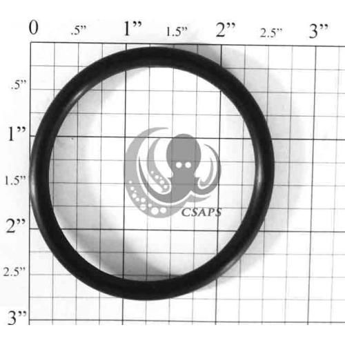 O-Ring 2-11/16" (N-331)