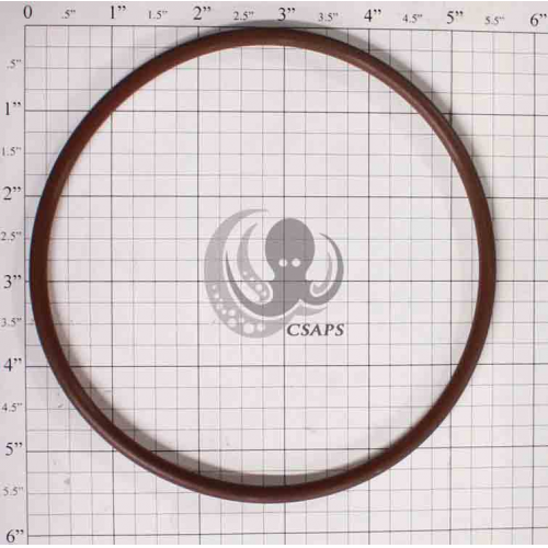 O-Ring 5-1/2 O-Ring 5-1/2" for HAYWARD CLORINATOR (CLX200K)