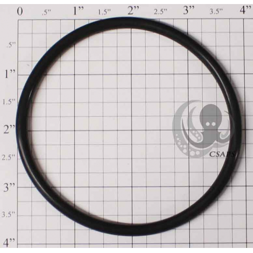 HAYWARD COVER O-Ring 3-7/8" (CLX110K)