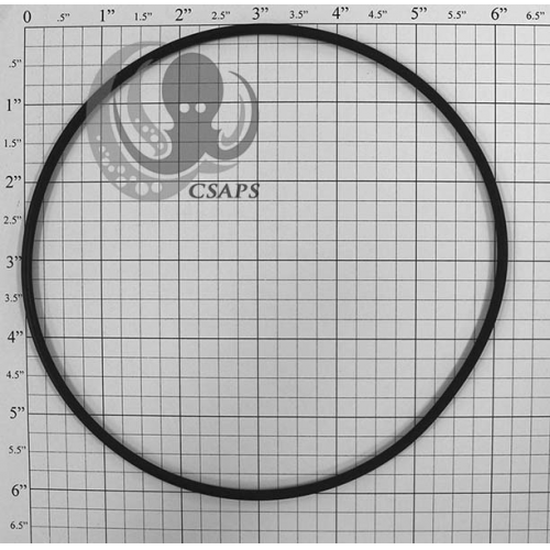 O-Ring 6" (LX-VOR-LP)