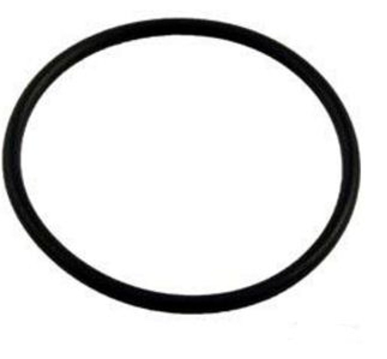 O-Ring 2" (805-0132)