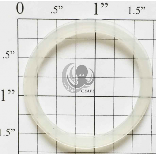 NECK JET TOP VALVE GASKET 1"  (MS-320-6765)