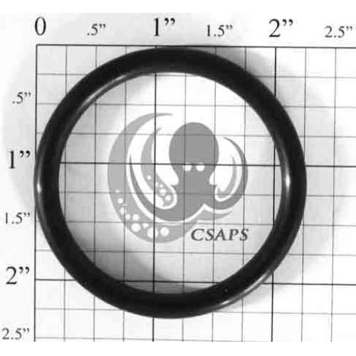 O-Ring 2-1/4" (N-328)
