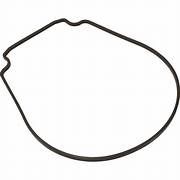 Pentair Gasket for Seal Plate (357100Z)