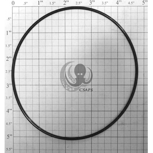 O-Ring 4-15/16"(92200090)
