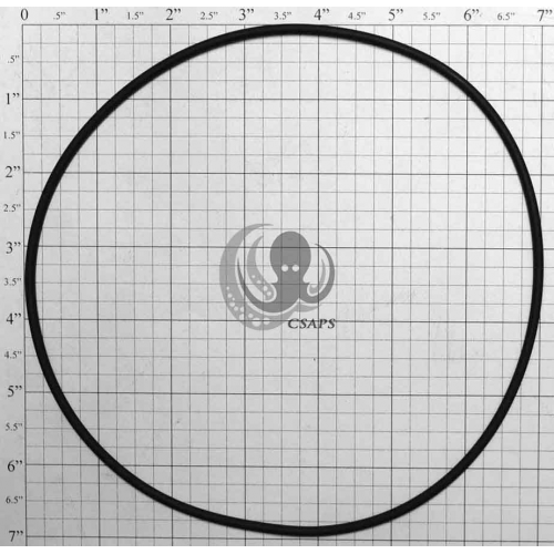 O-RING 7"  (805-0261)