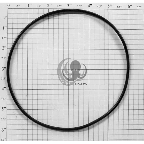0-Ring 6" (805-0256)
