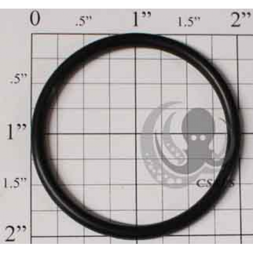 O-Ring 2" UNION FOR MPT (N-224)