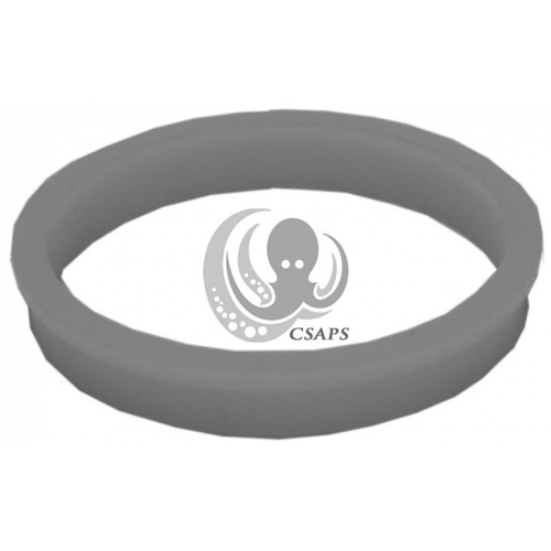 Wear Ring Xp2E/Xp3 (92830080)