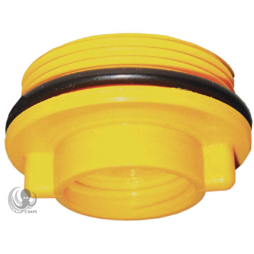 Plug Winter for Inground (WPOR)