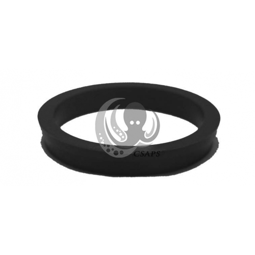Seal Ring FOR CARVIN/JACUZZI/CANTAR (10146207R)
