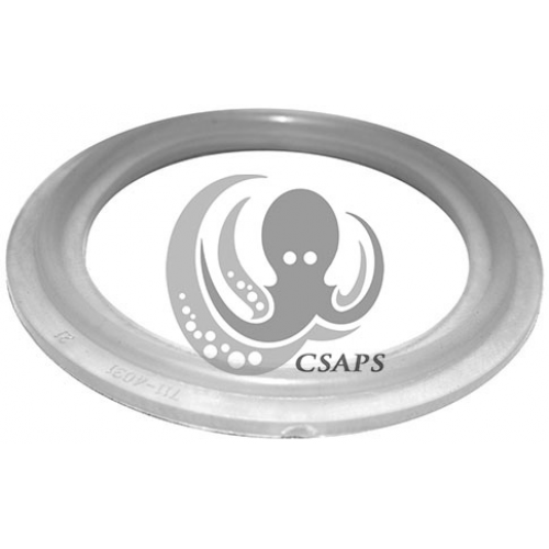 O-RING / GASKET 2" (711-4030)