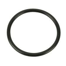 O-Ring Heater Union 1-1/2" (805-0224)