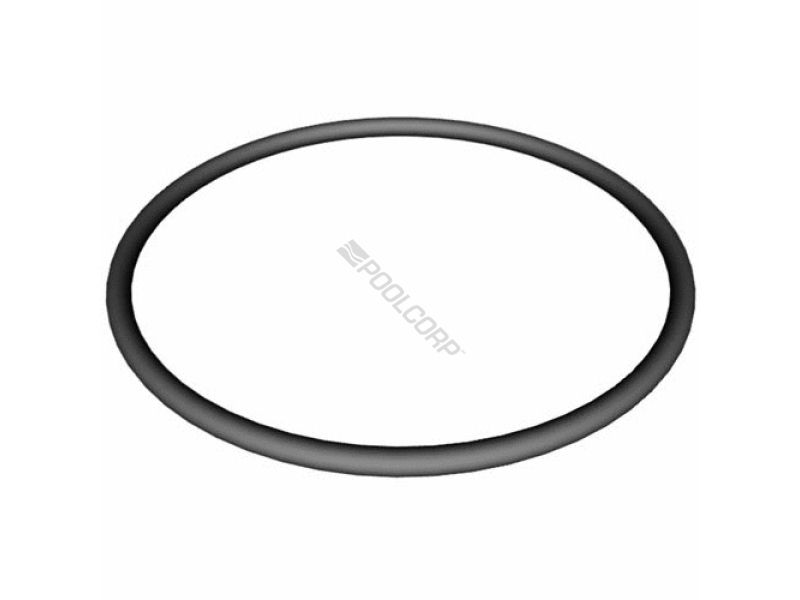 HAYWARD SUPER II STRAINER COVER ORING (HAY-101-2066) (SPX3000S)