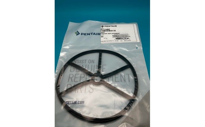Pentair 2" MultiPort Valve Diverter Gasket (PAC-061-1081) (271148Z)