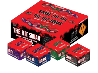 THE HIT SQUAD