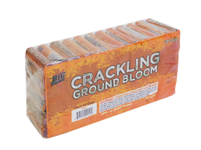 CRACKLING GROUND BLOOM