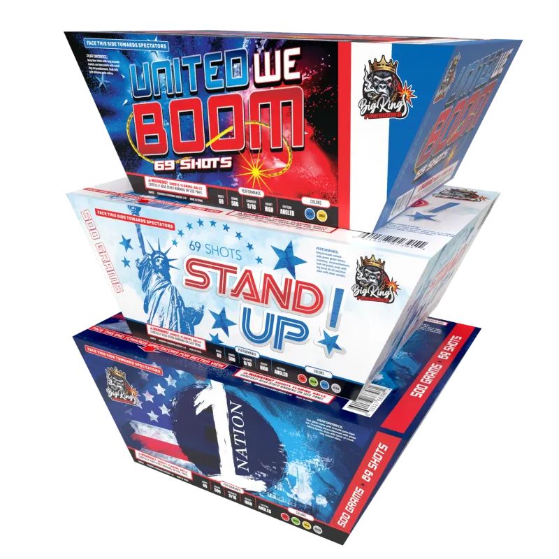 STAND UP / ONE NATION / UNITED WE BOOM