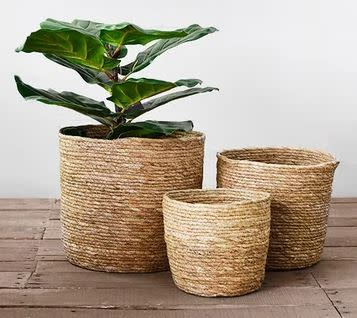 Rope Basket
