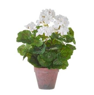 16&quot; Potted Geranium