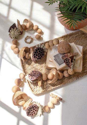 Mixed Dried Botanical Garland