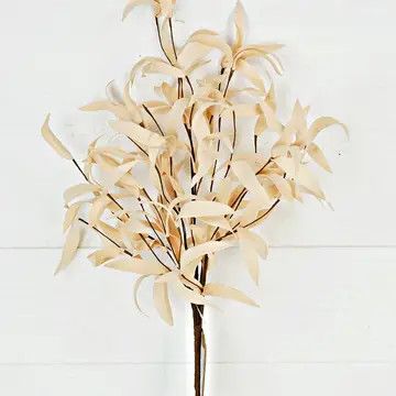 24&quot; Buttercup Herb Leaf Bush
