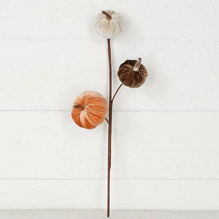 Mixed Velvet Mini Pumpkin Stem
