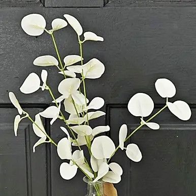 25&quot; Cream Silver Dollar Pick
