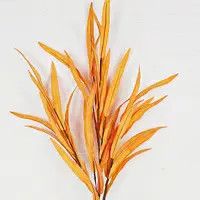 Orange 27 in. Spray