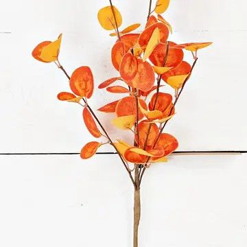 Orange Silver Dollar Mix