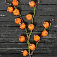 29 in Mini Pumpkin Branch