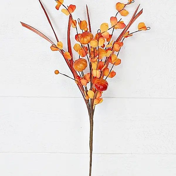 Snapdragon with Pumpkins