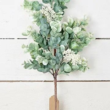 19&quot; Seeded Eucalyptus