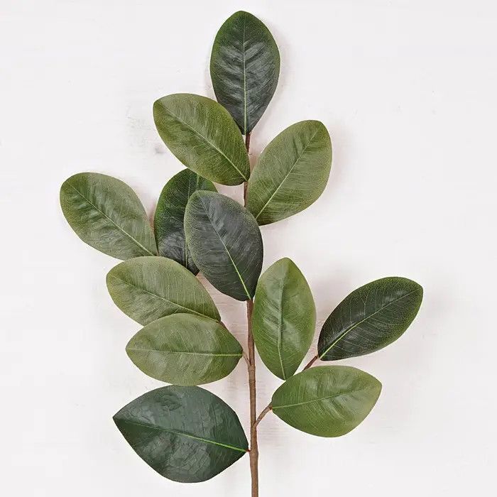 31&quot; Magnolia Leaves Spray