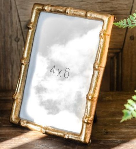 4x6 Gold Bamboo Frame