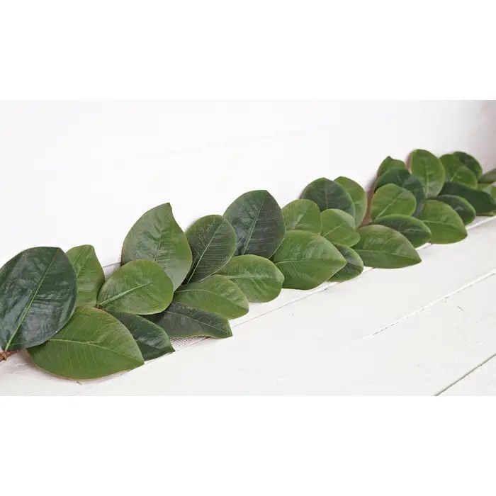 4&#39; Magnolia Garland