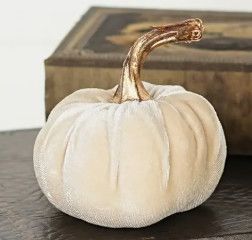 4" Champagne Velvet Pumpkin
