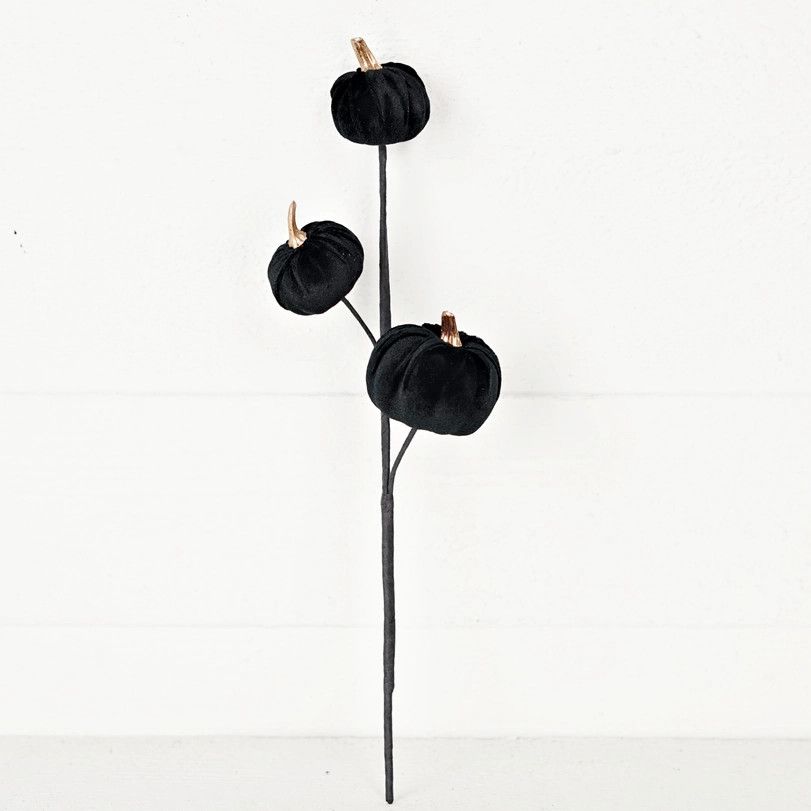 Black Velvet Pumpkin Pick
