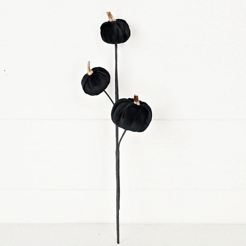 Black Velvet Pumpkin Pick