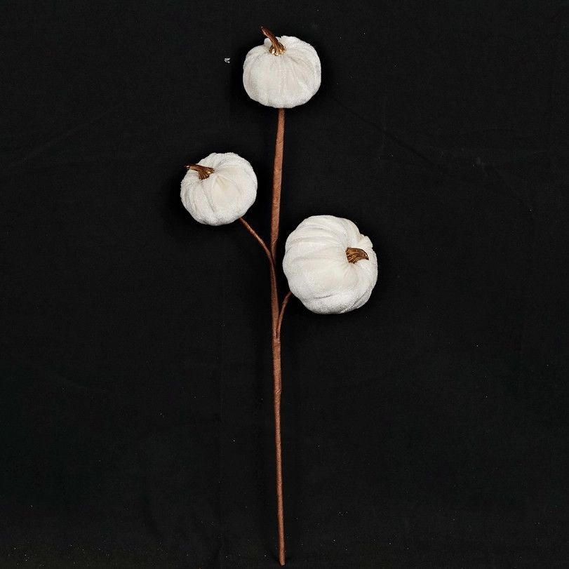 Cream Velvet Pick
