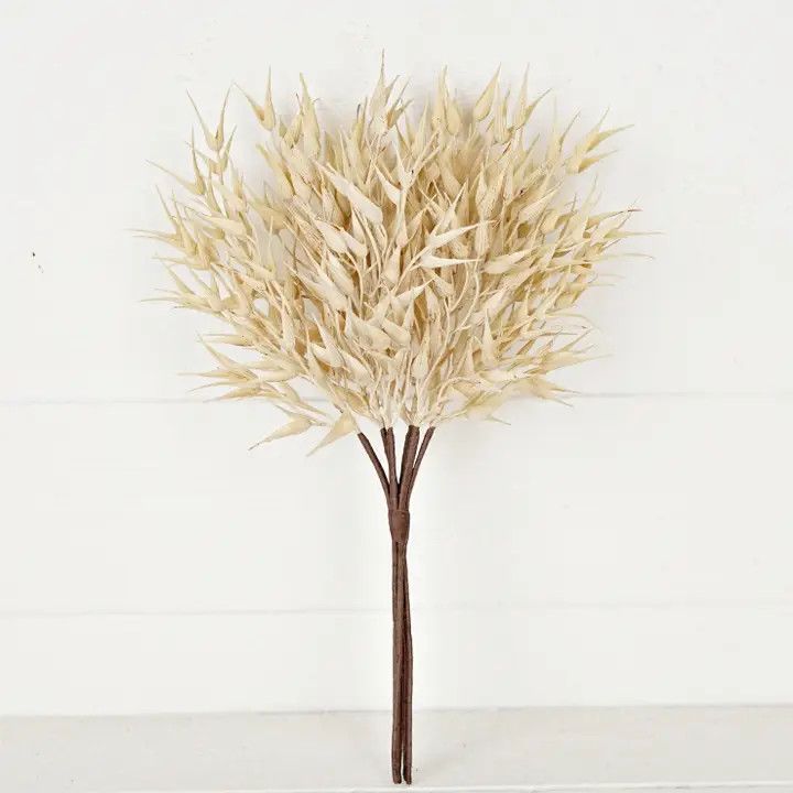 16in Bearded Wheat Grass