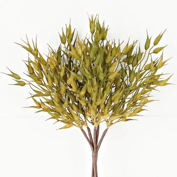 16in Sage Bearded Wheat Grass