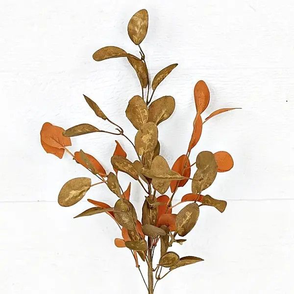 Brown Sage Mixed Leaves Stem