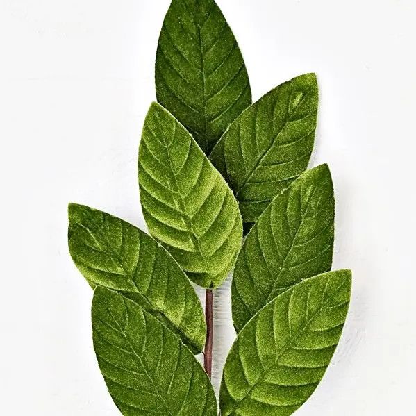 24&quot; Velvet Magnolia Leaves