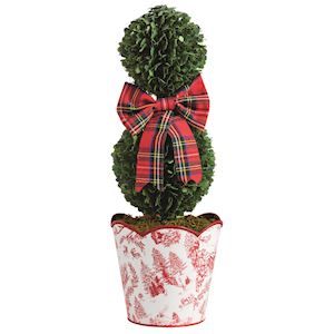 15" Toile Two-Ball Boxwood Topiary
