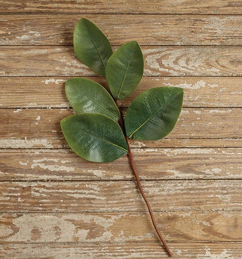 20&quot; Magnolia Spray