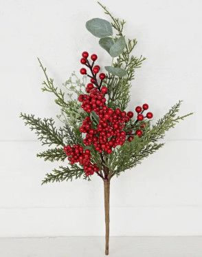 17" Mix Cedar with Berries and Silver Dollar Pick